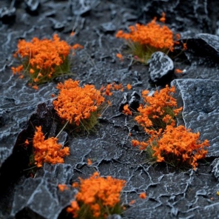 Gamers Grass - Orange Flowers (Wlid)